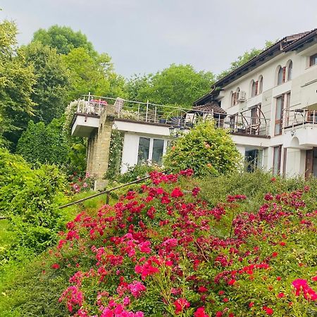 Rapsodia Pension Suceava Exterior foto