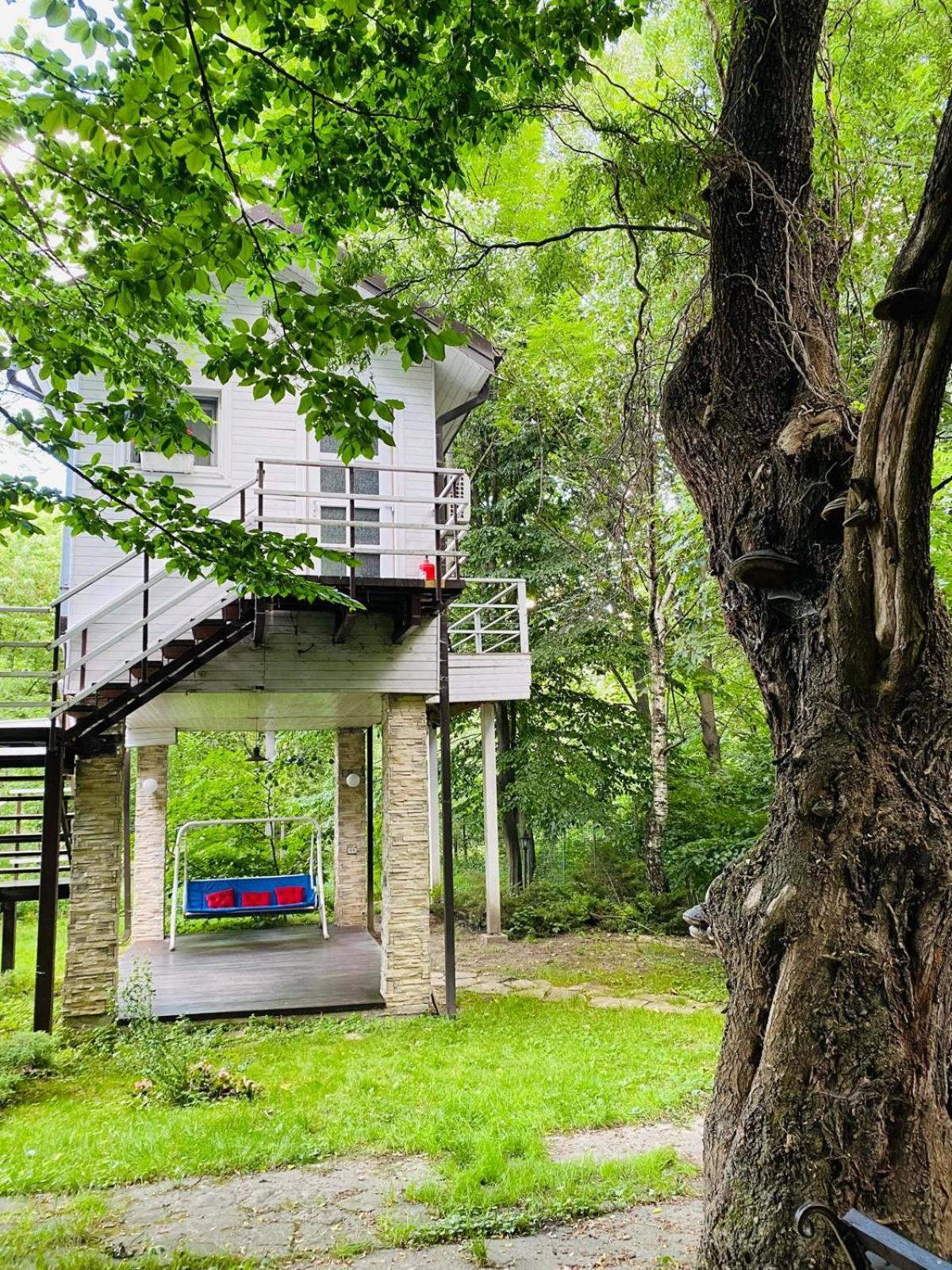 Rapsodia Pension Suceava Exterior foto