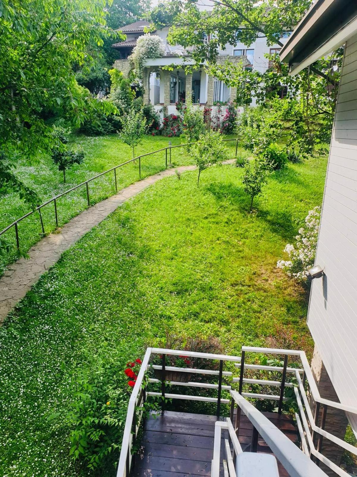 Rapsodia Pension Suceava Exterior foto