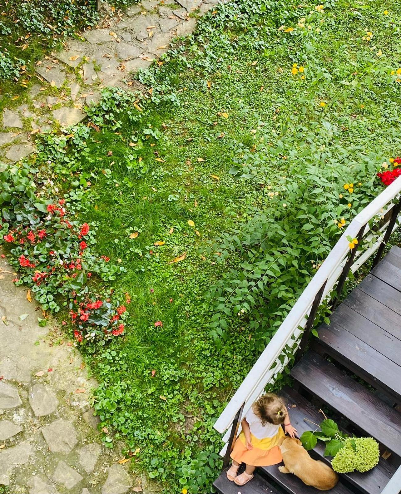 Rapsodia Pension Suceava Exterior foto