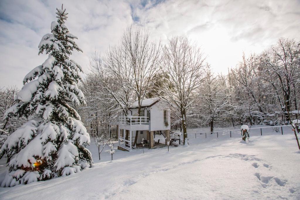 Rapsodia Pension Suceava Exterior foto