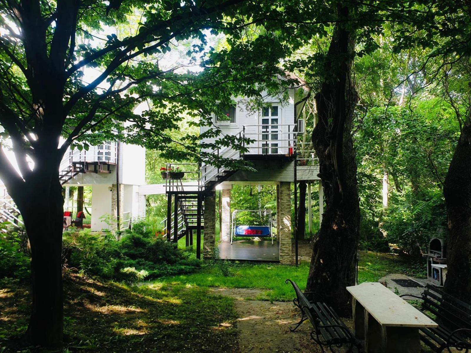 Rapsodia Pension Suceava Exterior foto