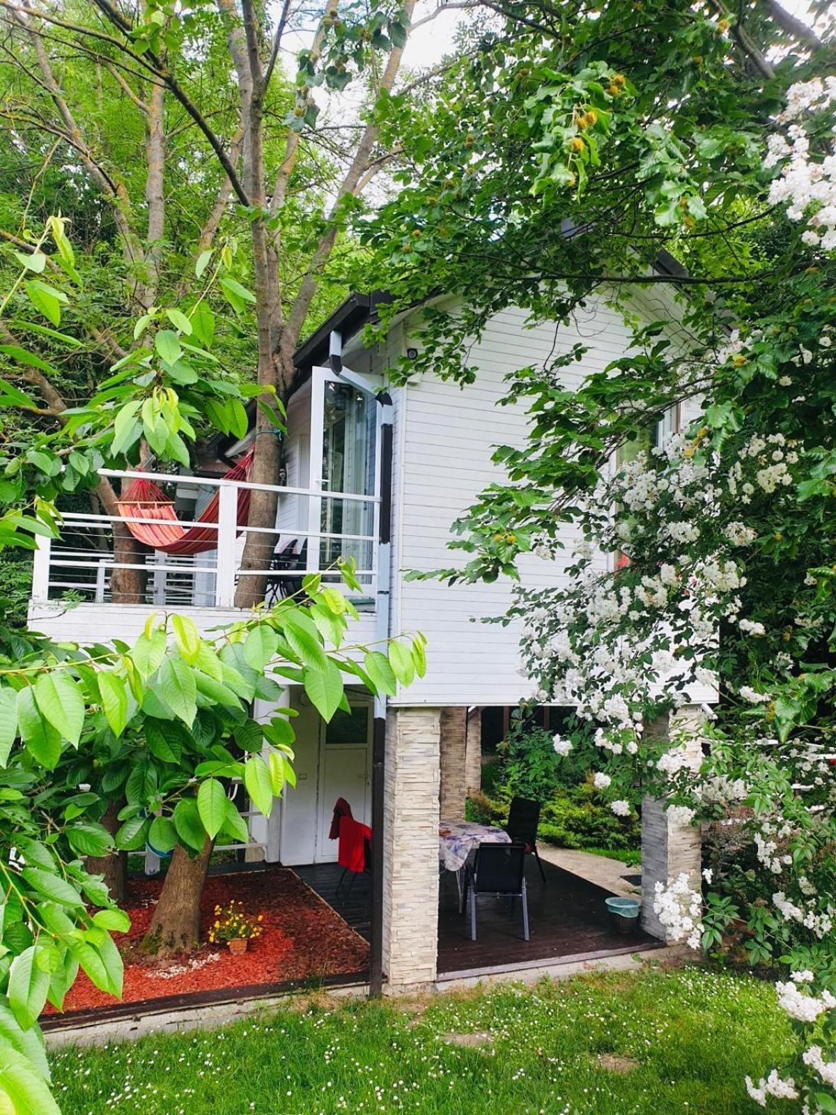 Rapsodia Pension Suceava Exterior foto