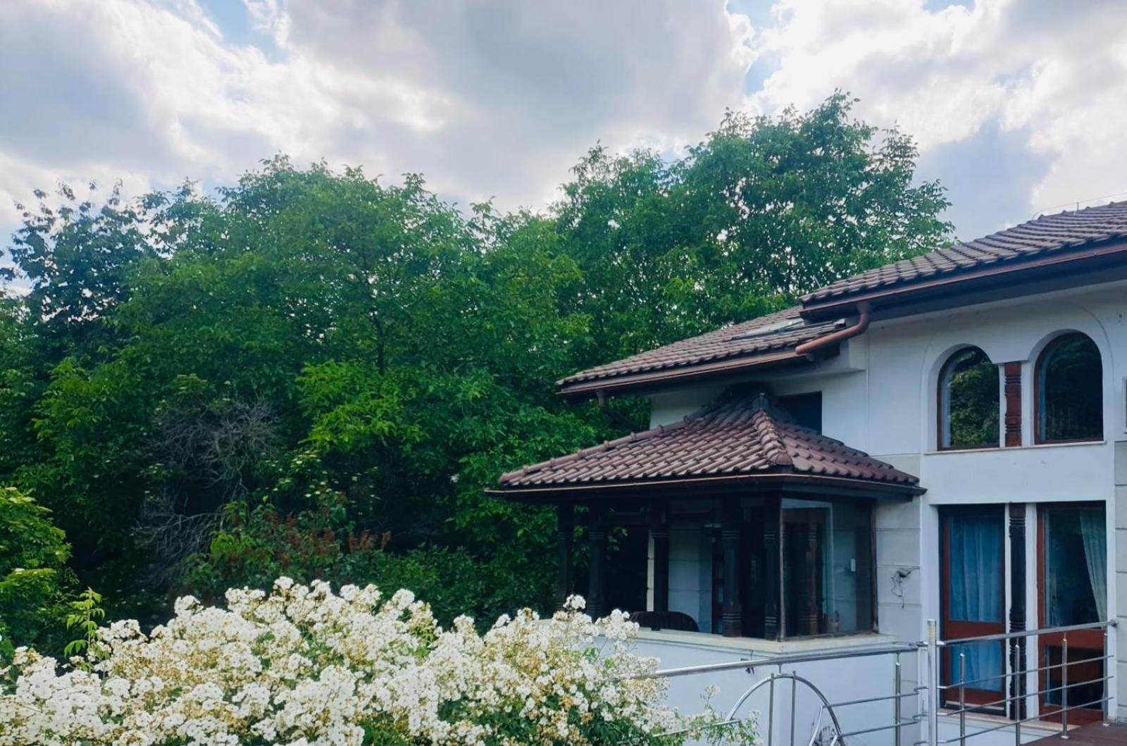 Rapsodia Pension Suceava Exterior foto