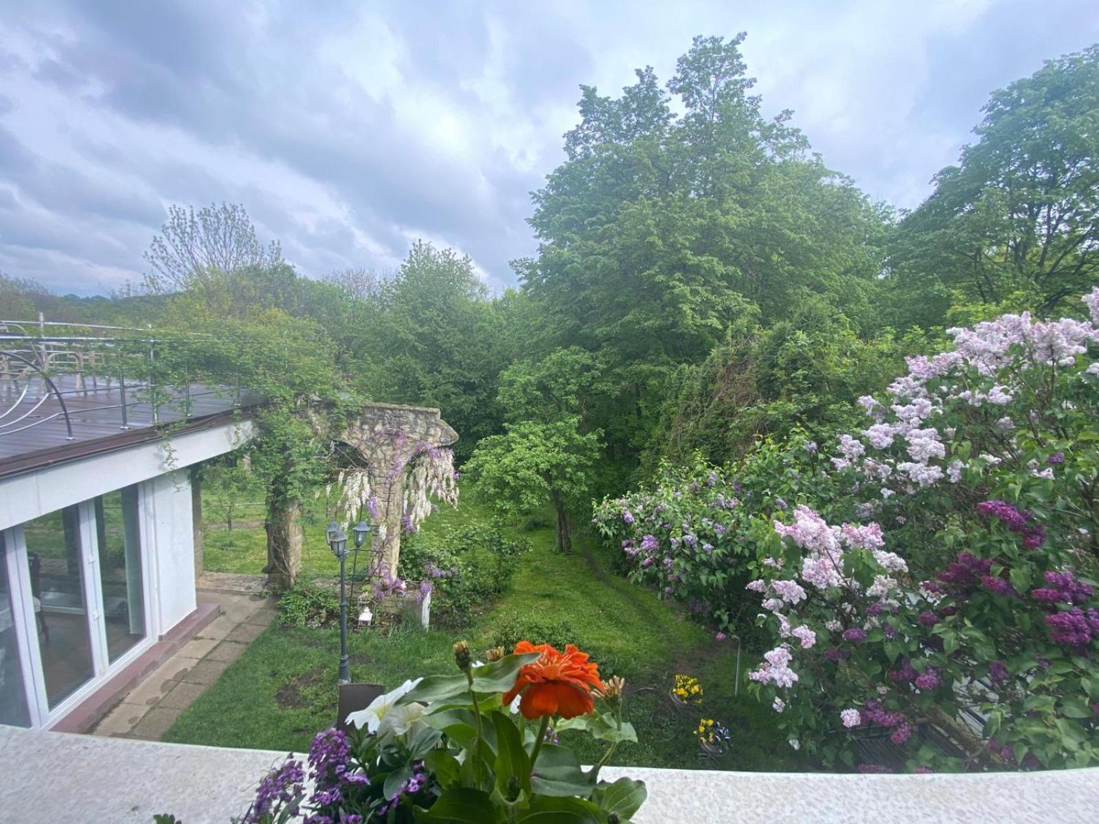 Rapsodia Pension Suceava Exterior foto