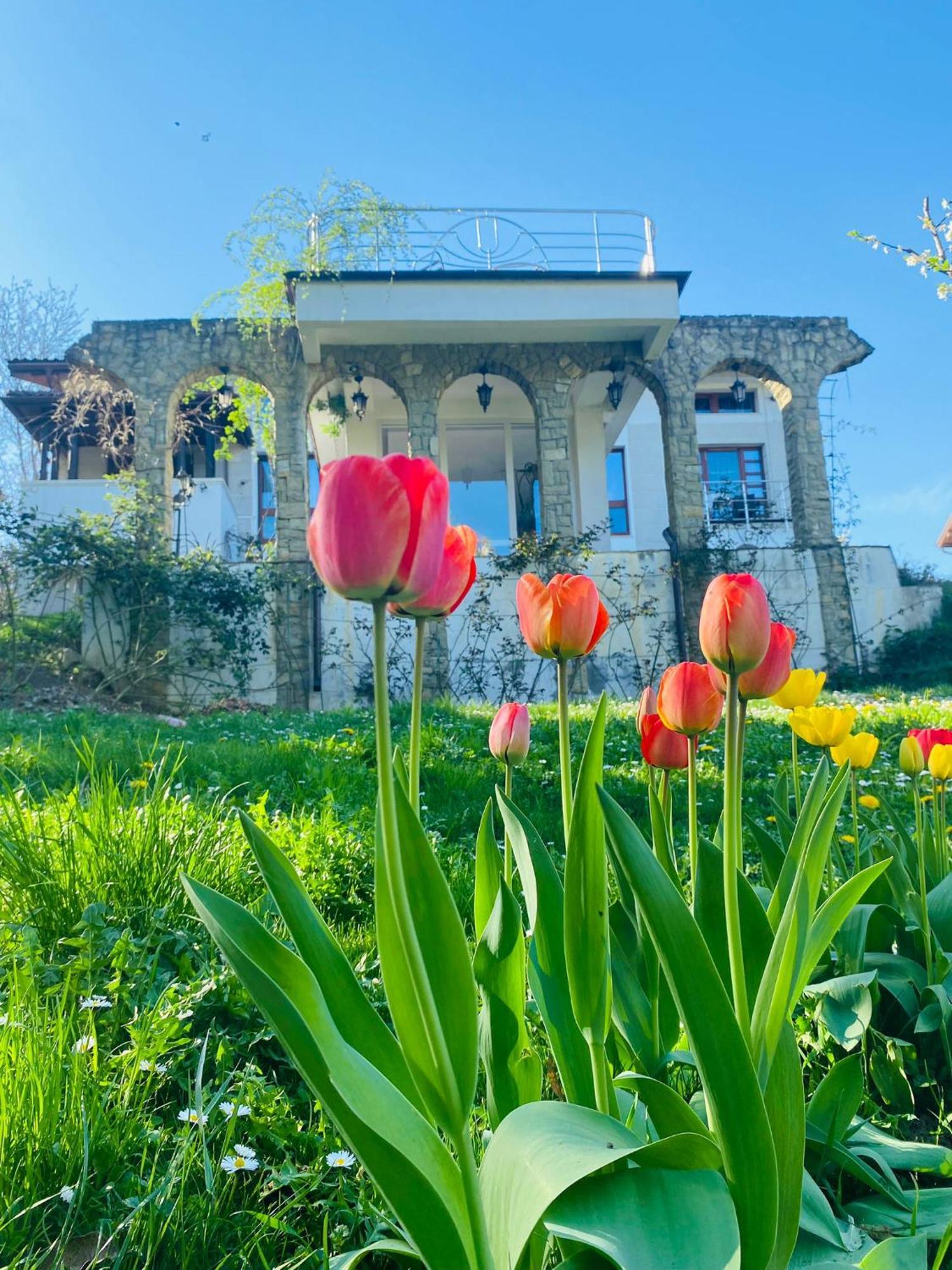 Rapsodia Pension Suceava Exterior foto