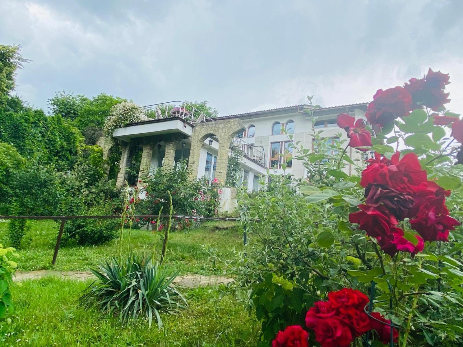 Rapsodia Pension Suceava Exterior foto
