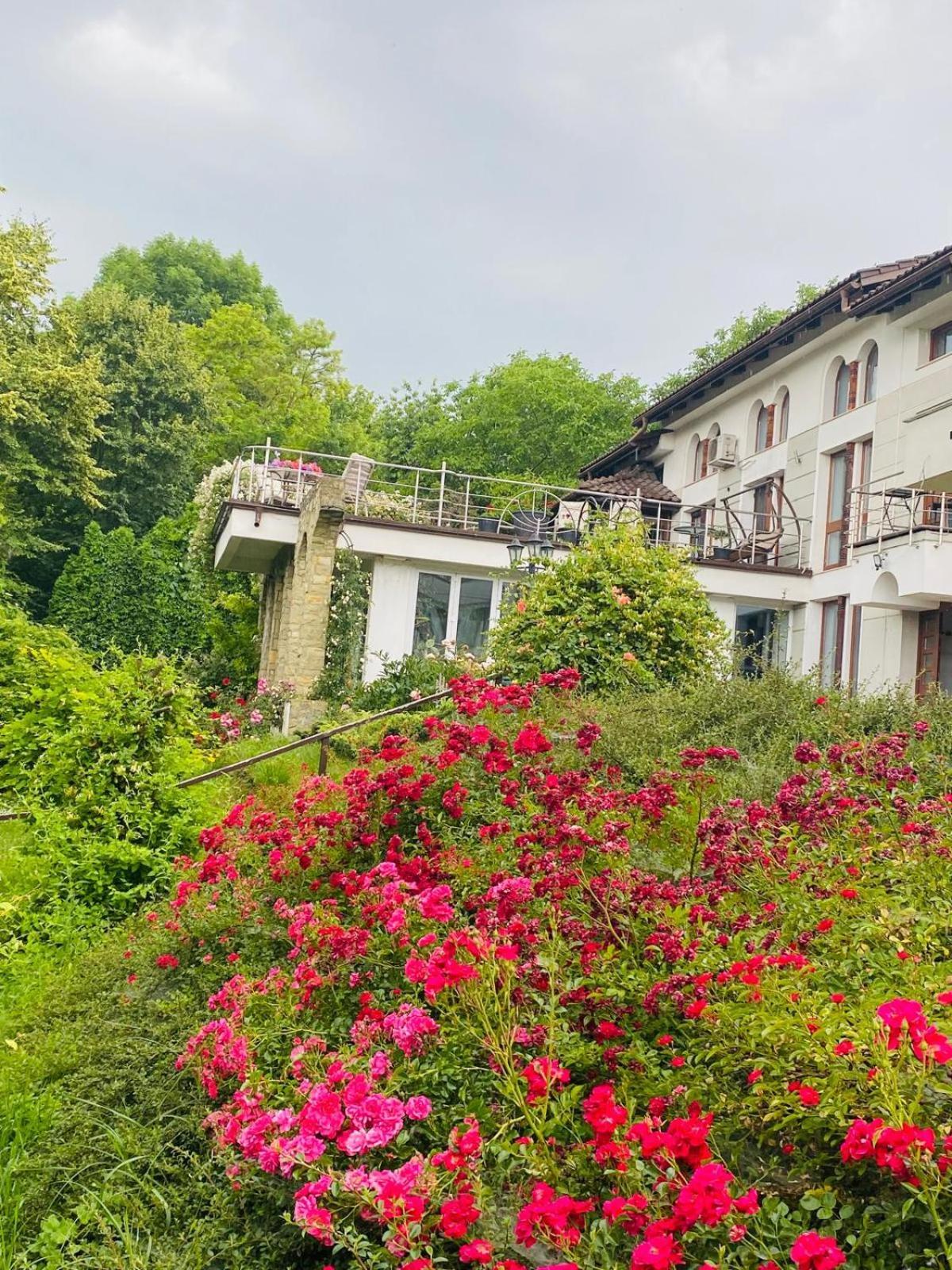 Rapsodia Pension Suceava Exterior foto